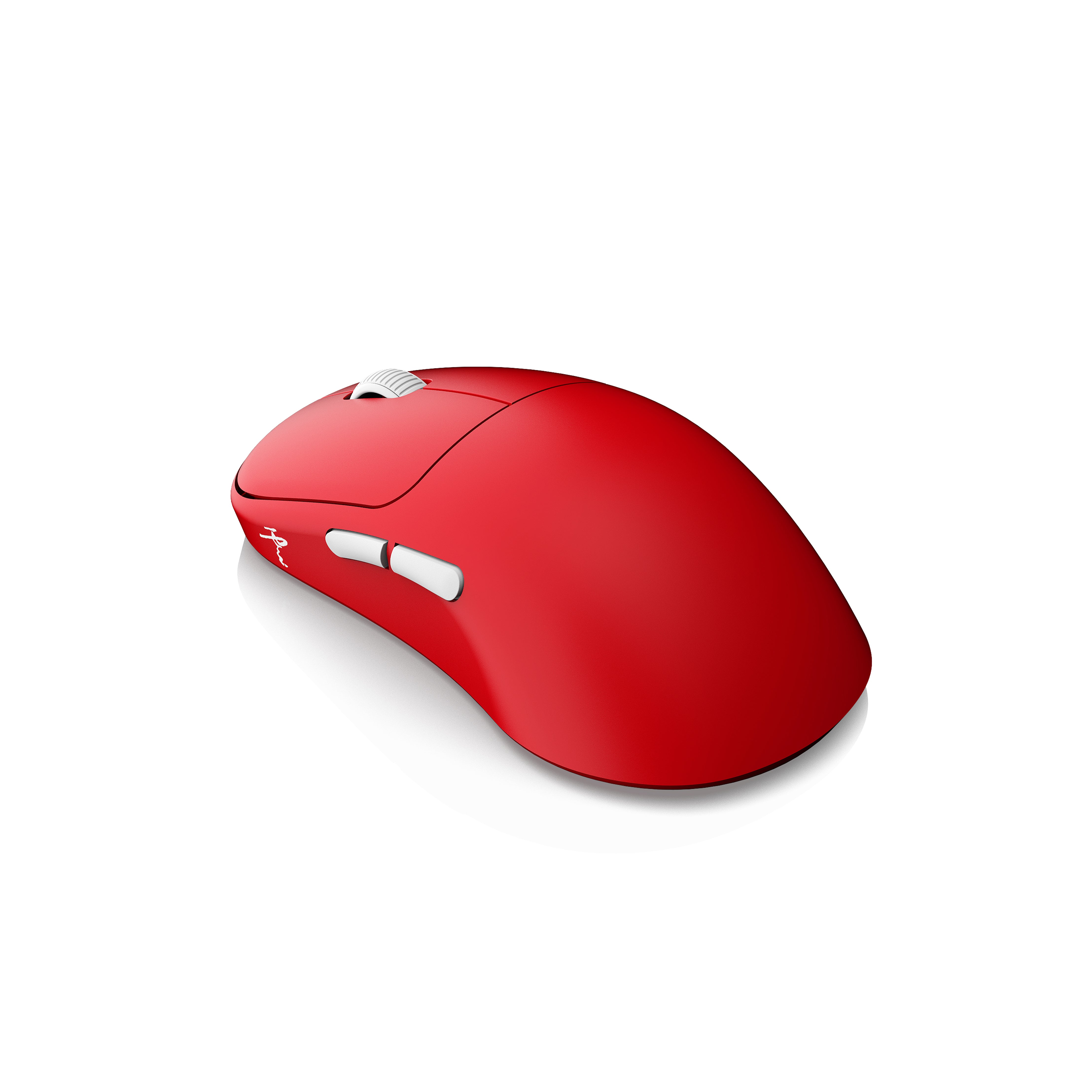 Waizowl ワイズオール OGM Cloud