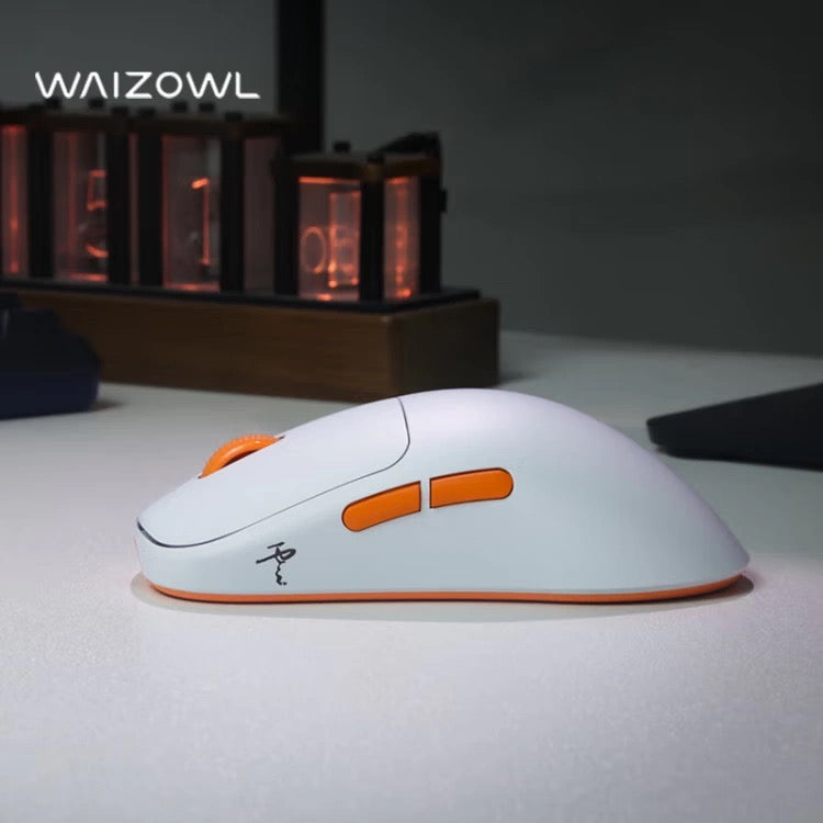 Waizowl ワイズオール OGM Cloud