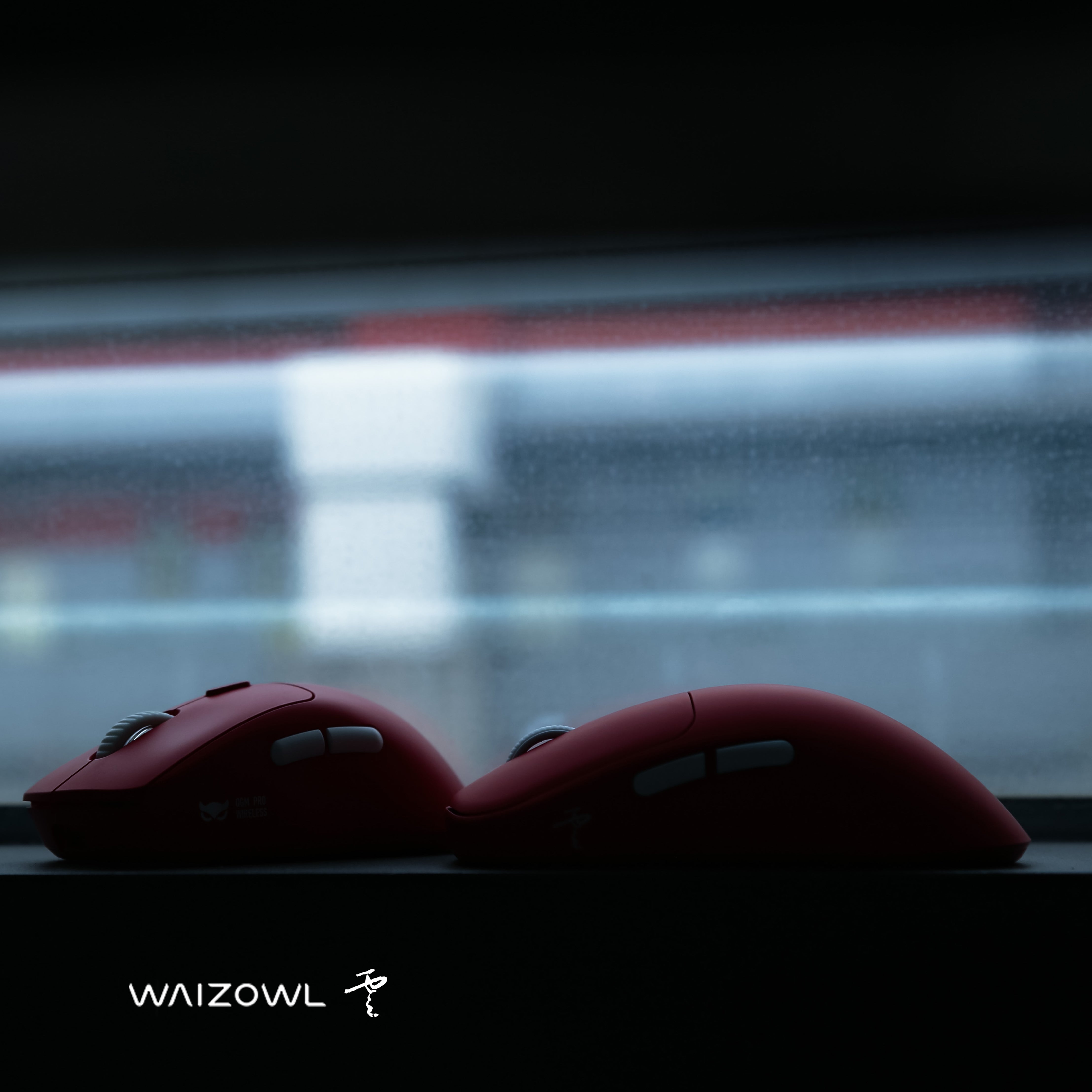 Waizowl ワイズオール OGM Cloud