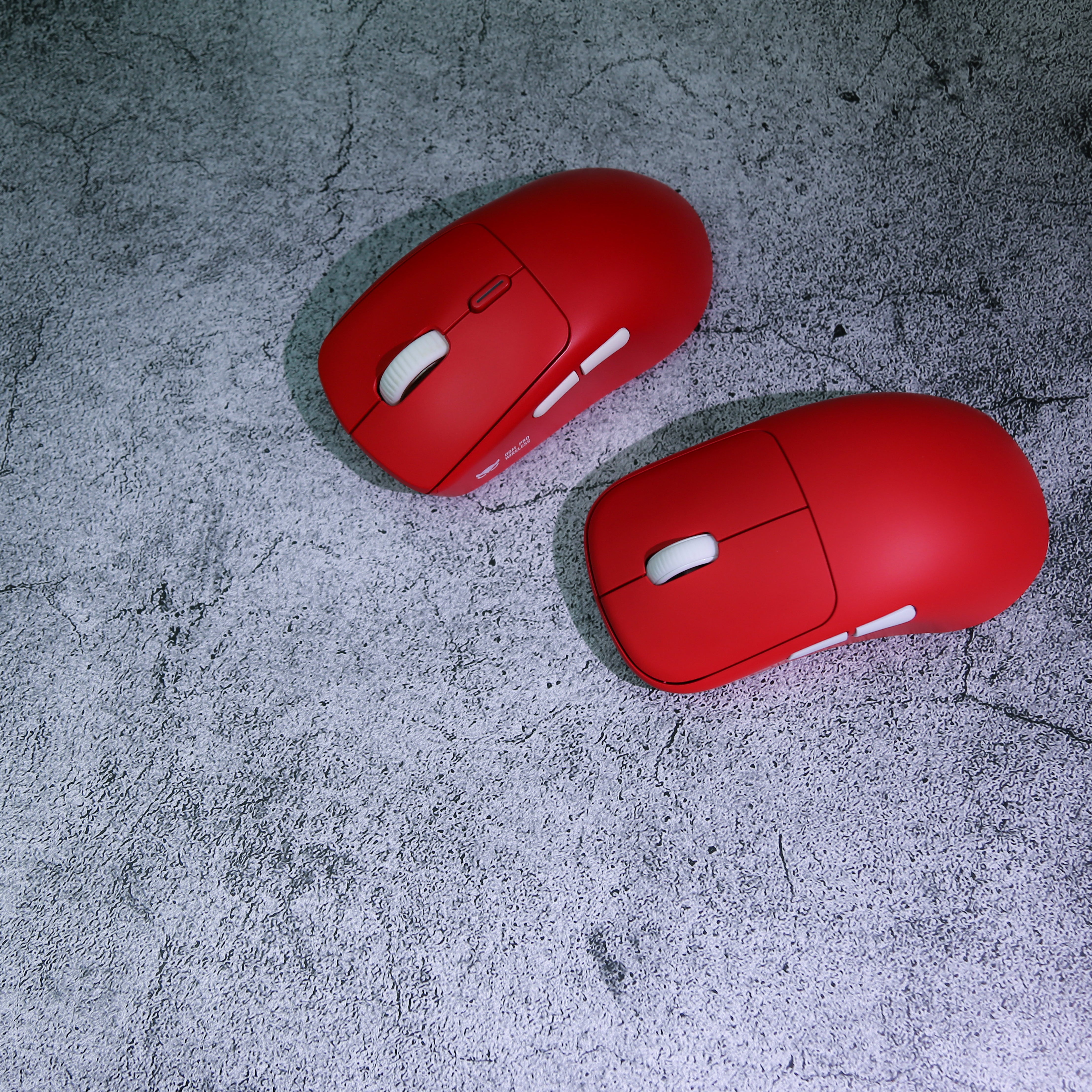 Waizowl ワイズオール OGM Cloud